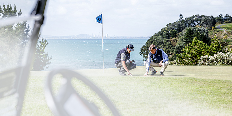 Turf New Zealand Home Page